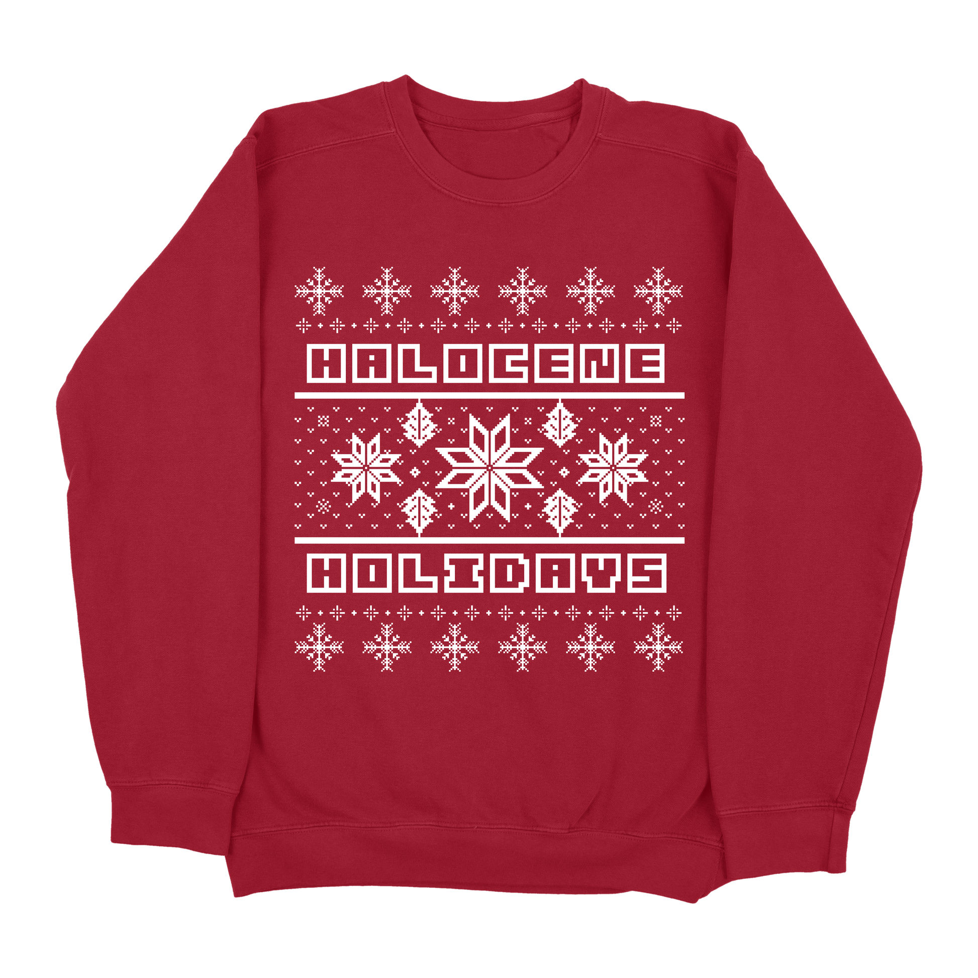 Normal 2025 christmas sweater